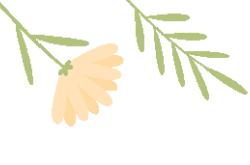 暑期关爱 | 清远妇联暑期关爱活动精彩集锦