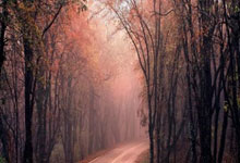 第三届亚洲青年运动会在巴林开幕