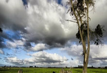 忻州市最新人事动态