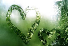 TA：威尔希尔已无望以教练身份回归阿森纳青训营