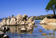 忻州市最新人事动态