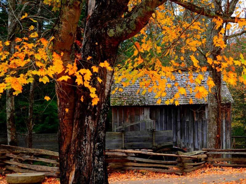 英雄联盟全球总决赛冠亚军决赛四川打响